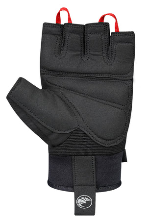 XTR Gel